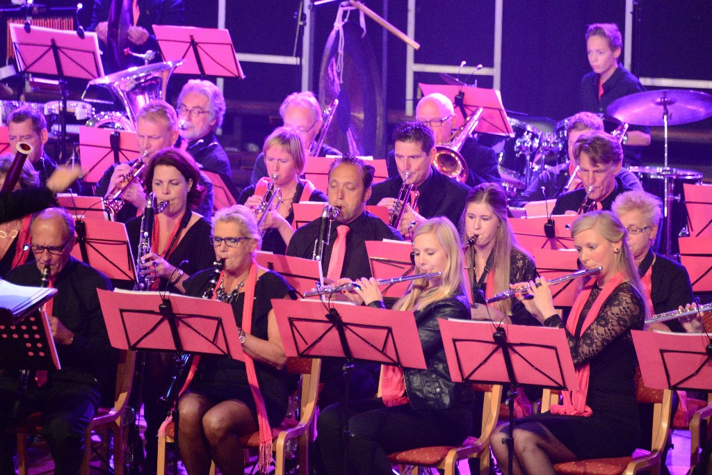 ../Images/Jubileumconcert 100 jaar Harpe Davids 052.jpg